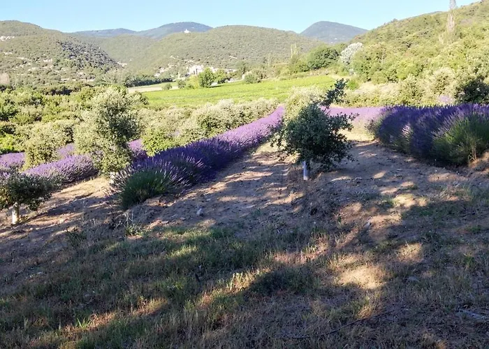 Mas De Vigneron, En Drome Provencale