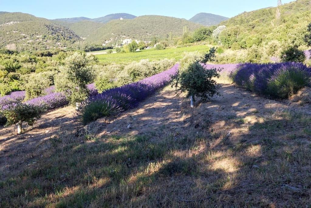 Mas De Vigneron, En Drome Provencale Rousset-les-Vignes